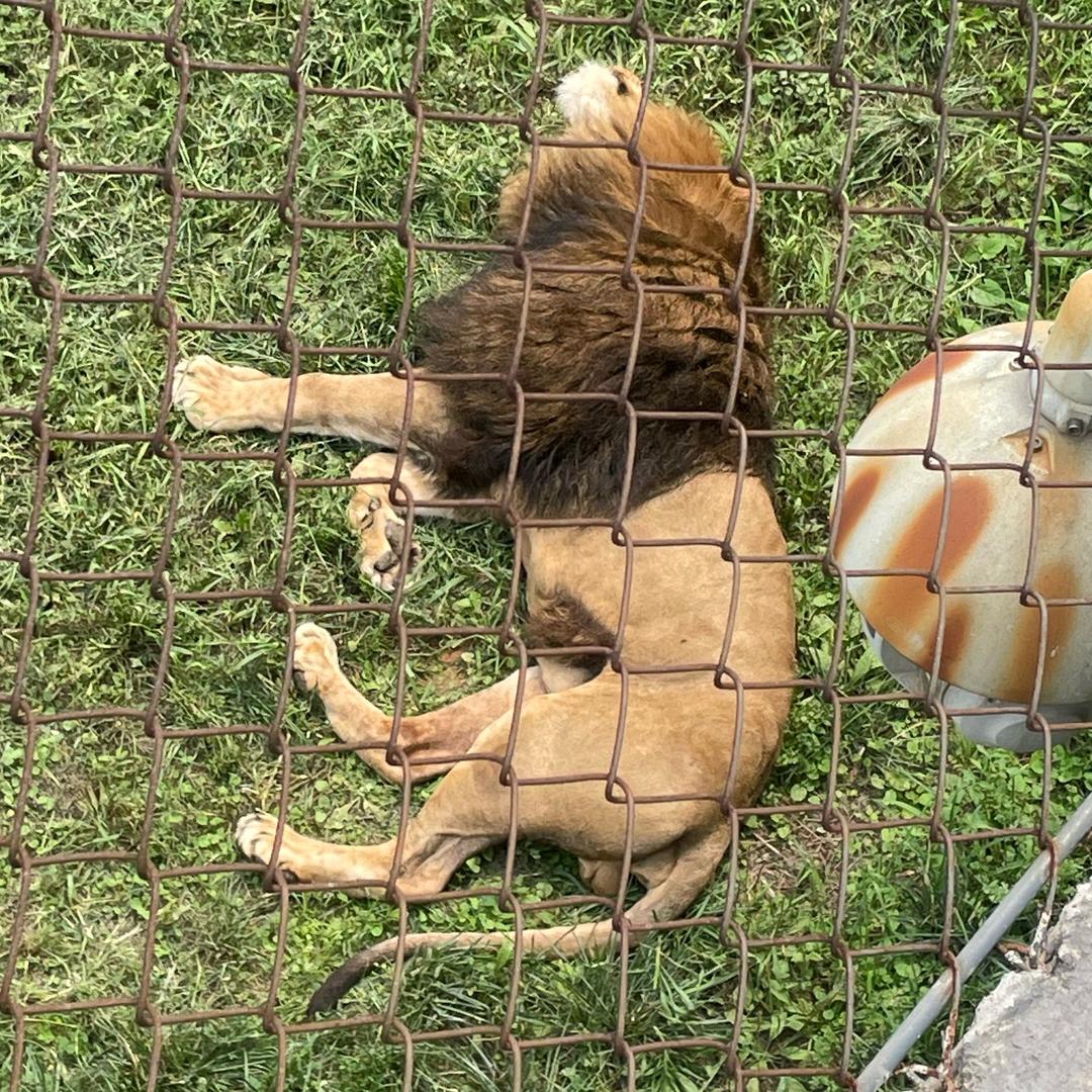 道阻且长 行则将至