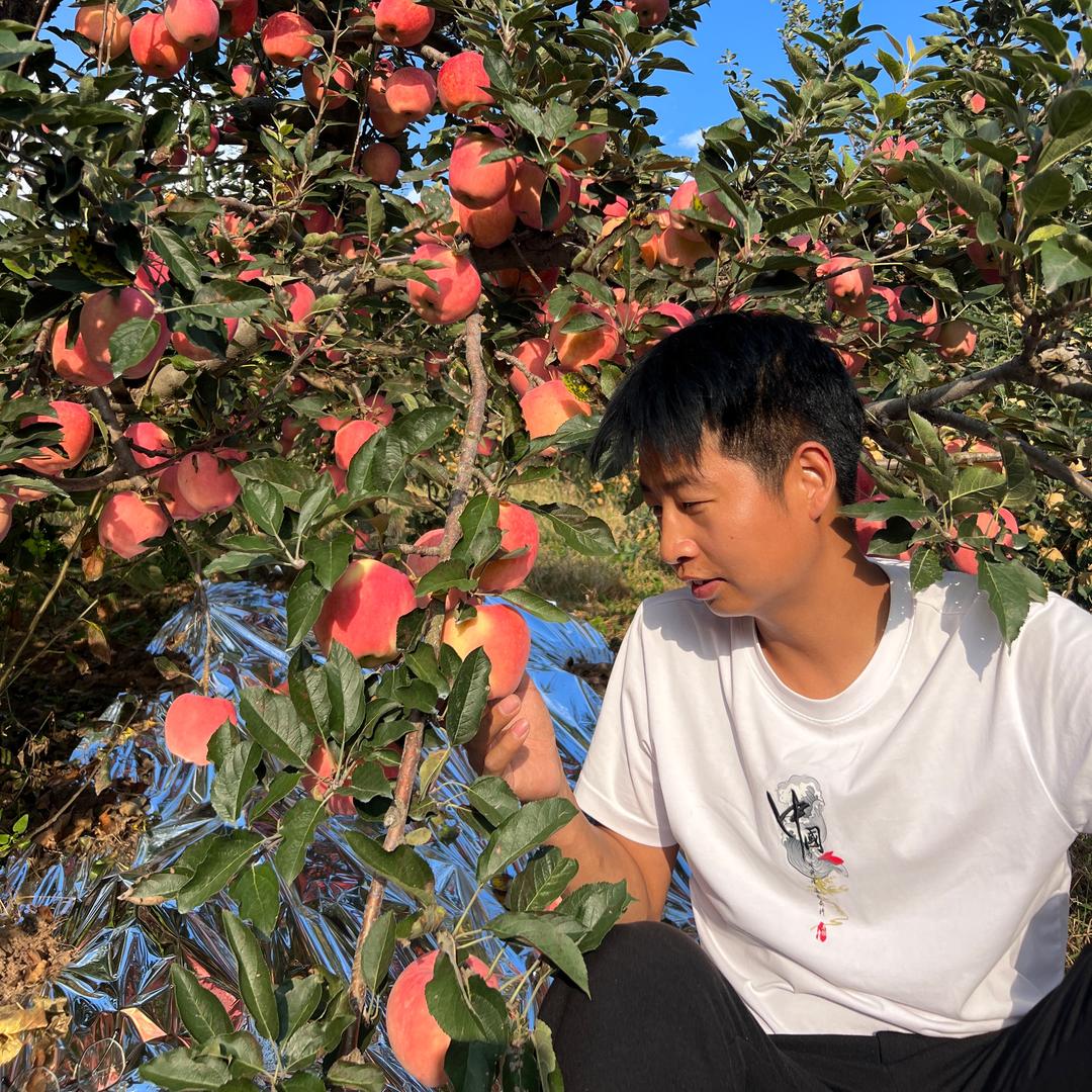 李二牛鲜果小时达