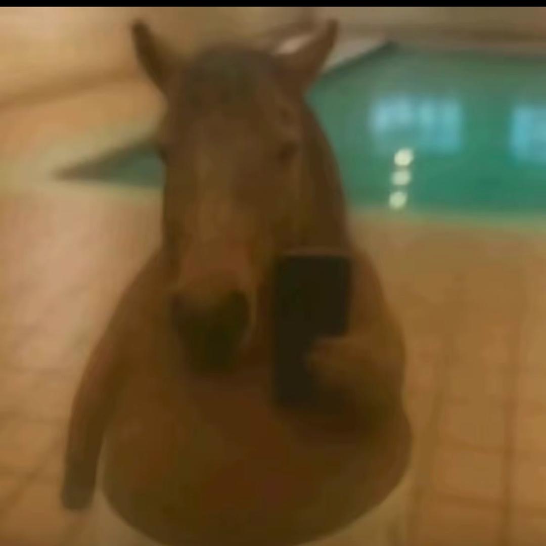 011TC（🐿️🐳）