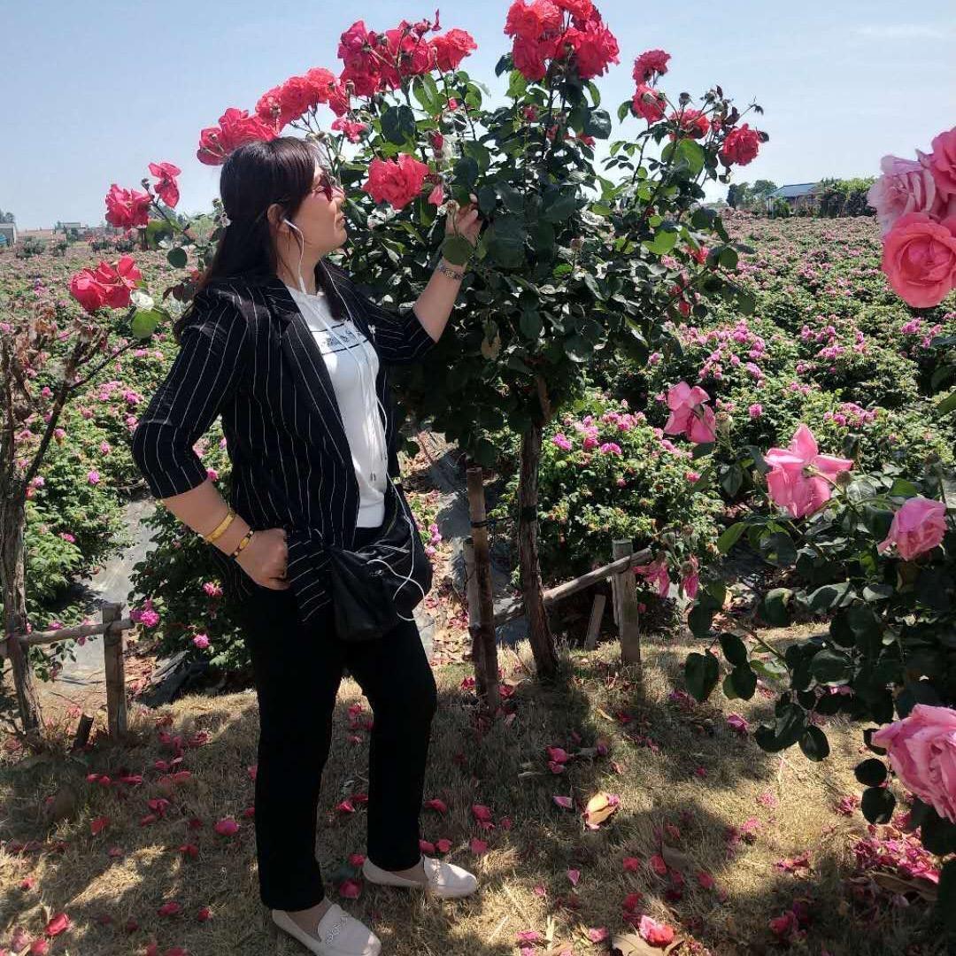 让爱随缘《芙蓉》