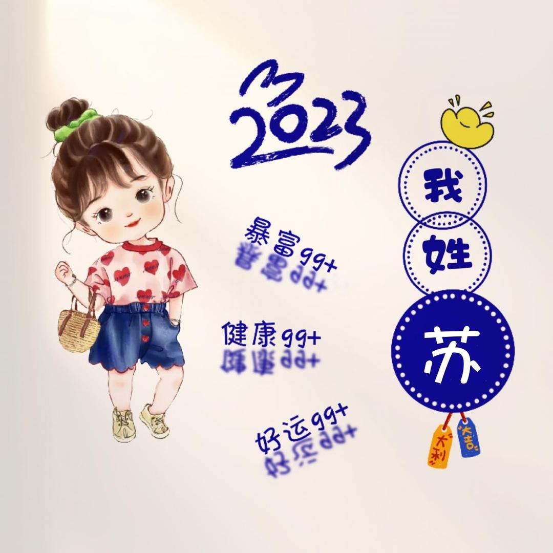 苏苏姐姐做家政