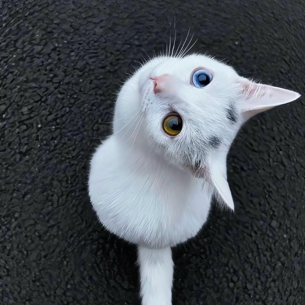 一支忧郁的钢笔