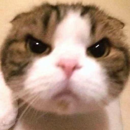 安