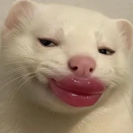 inA.
