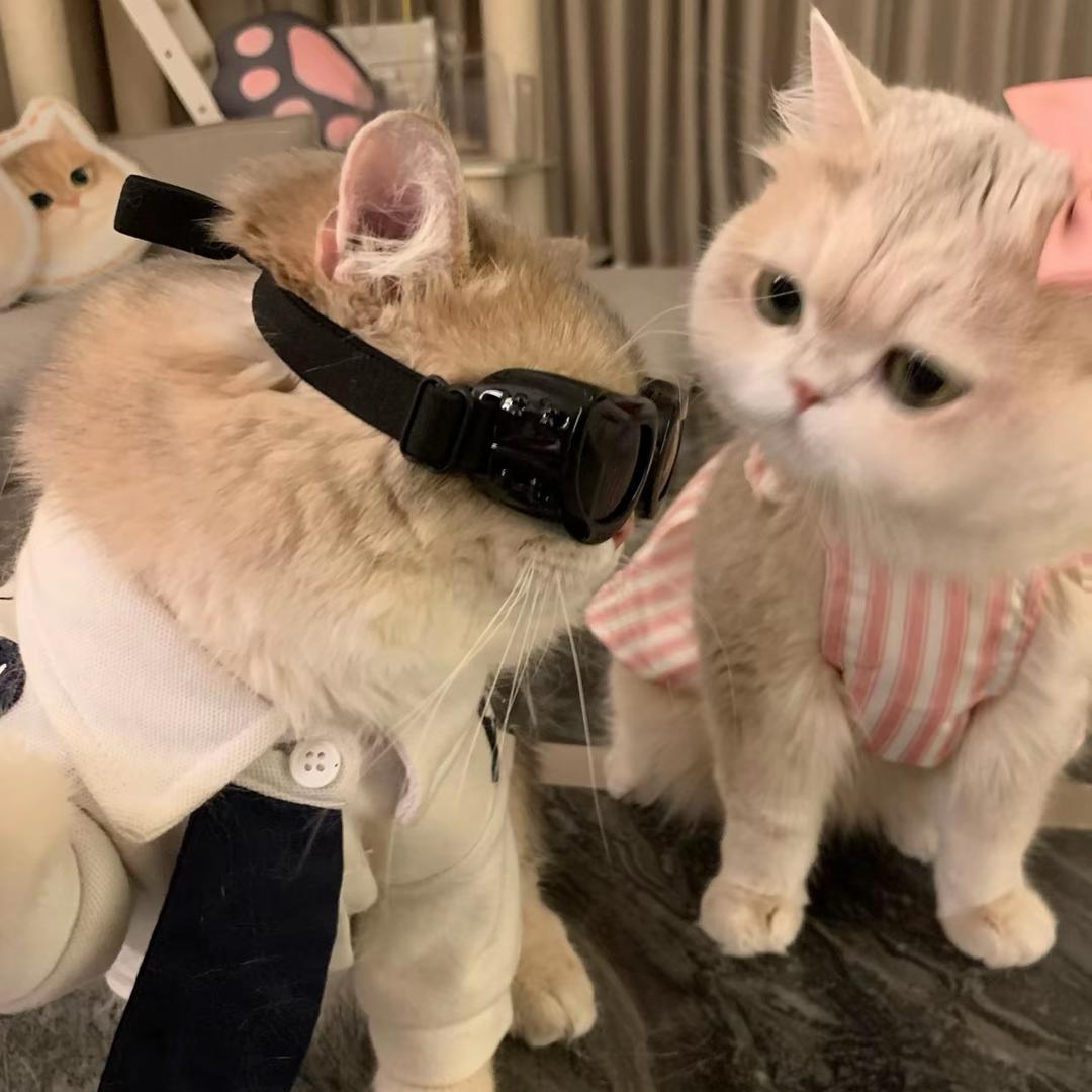 啊光