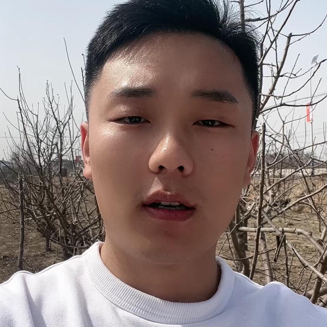 小高种果树-