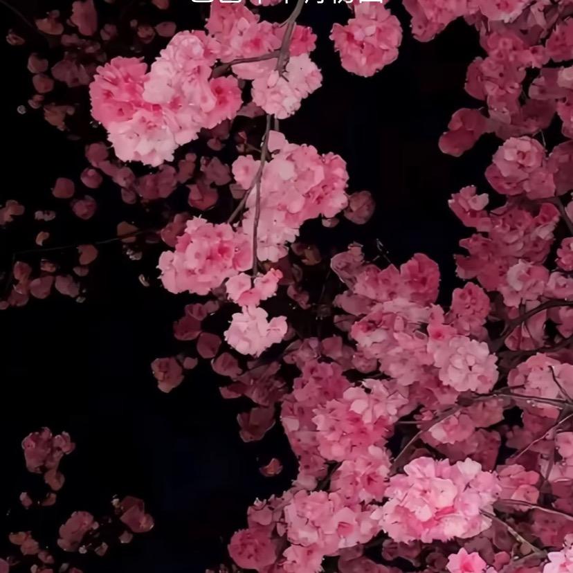 通知