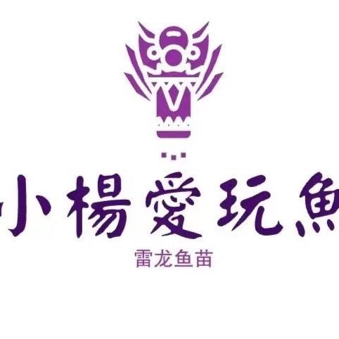 韭菜雷龙