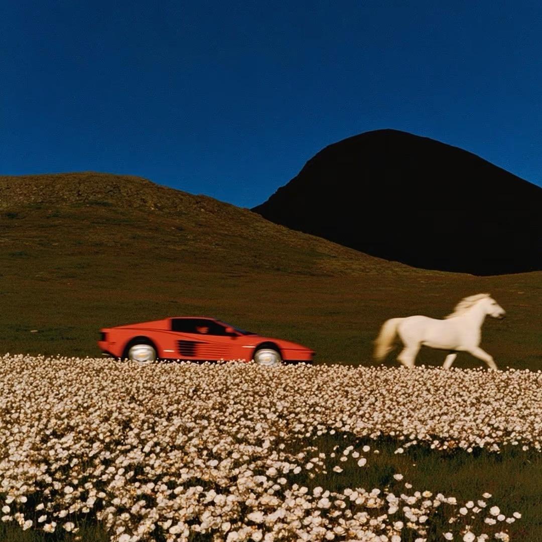 我是最棒的小羊🐑