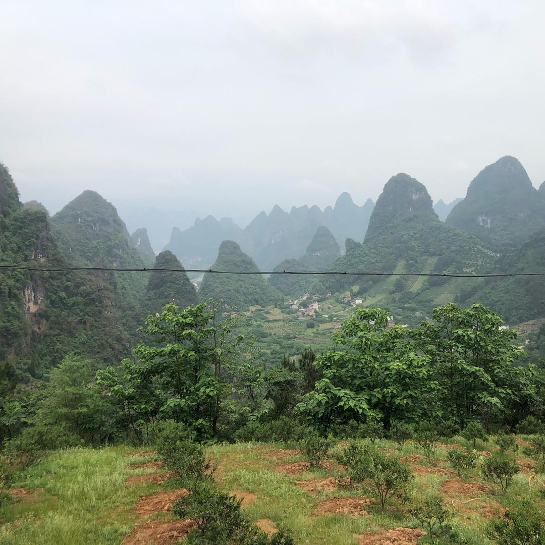 小石头疼