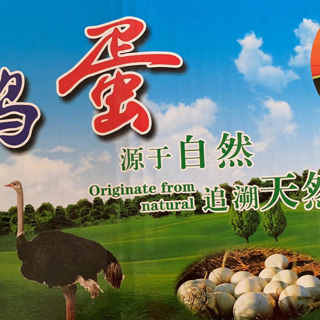蔚县乐派精灵宠物店