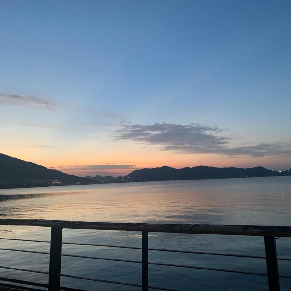 一网打尽