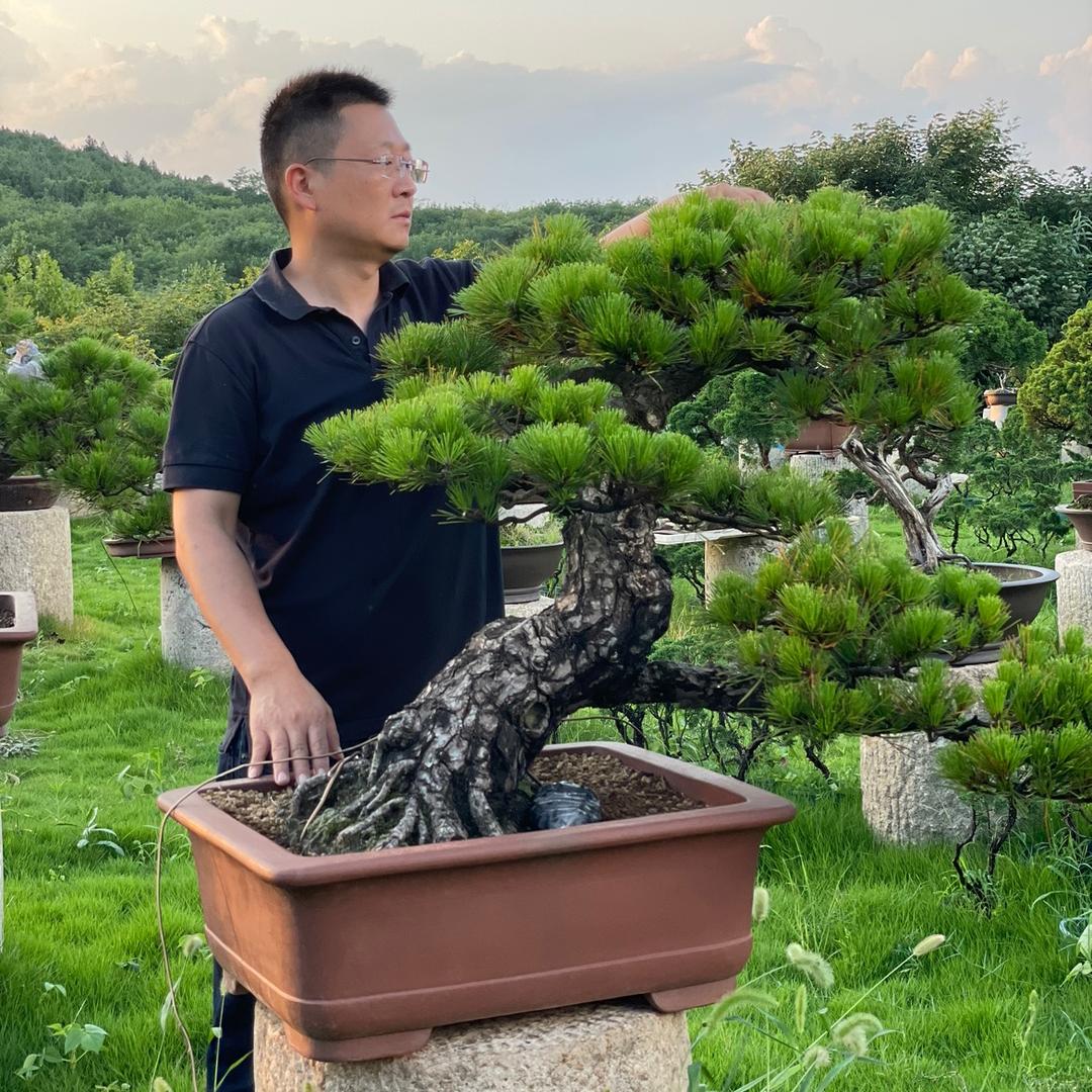 小付简单卖盆景