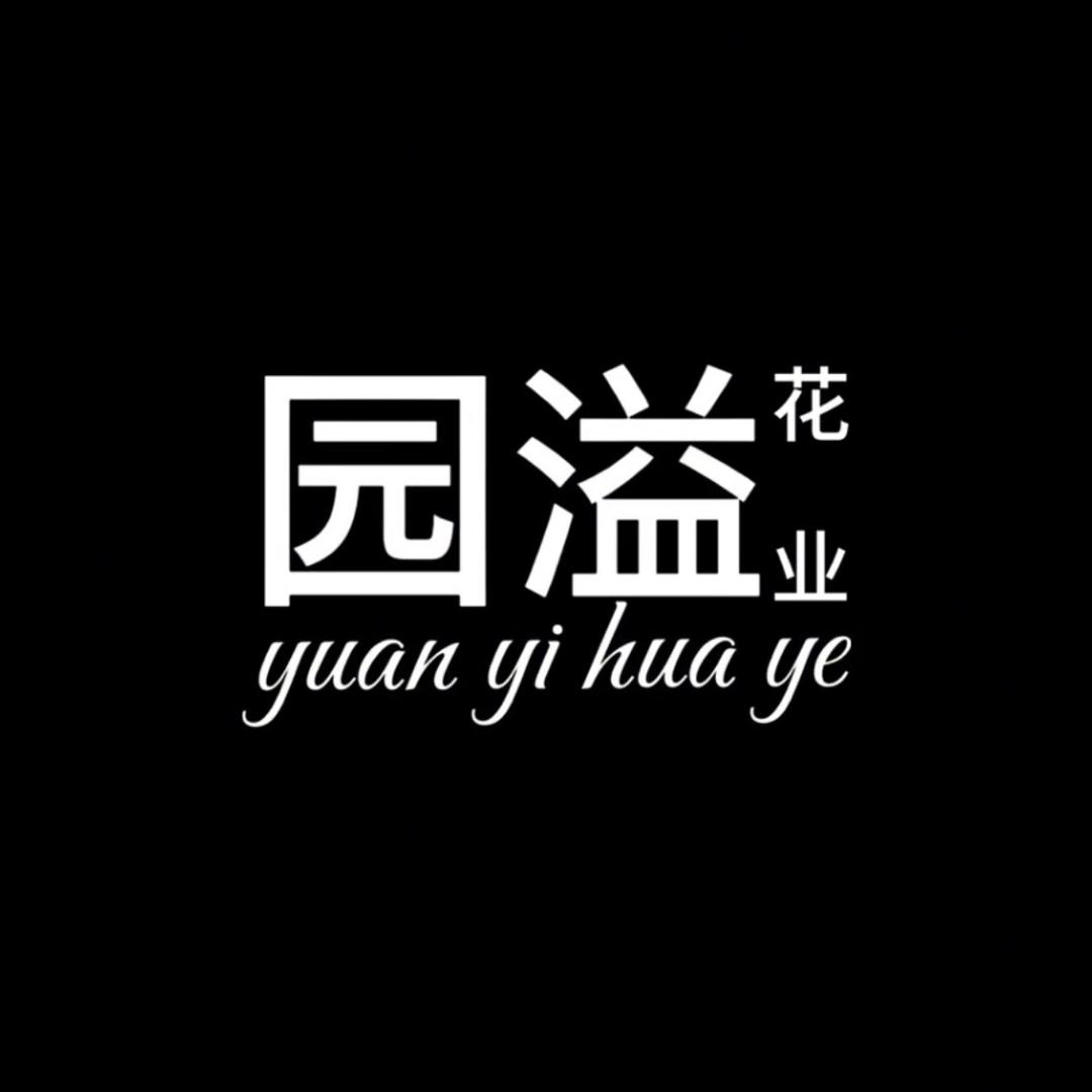 园溢仿真绿植花卉店
