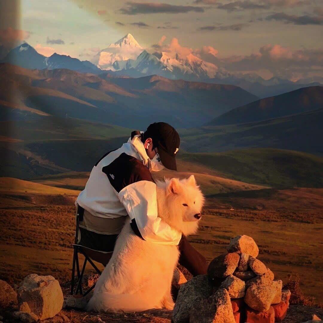 宙点（王者荣耀三路都废）