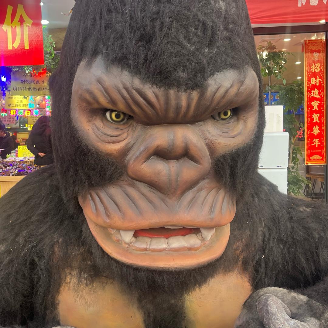 王星辰