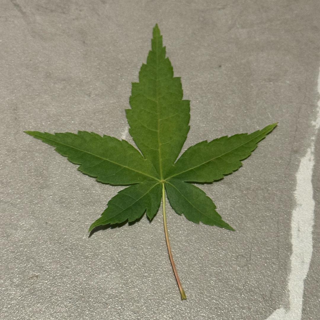 珍惜