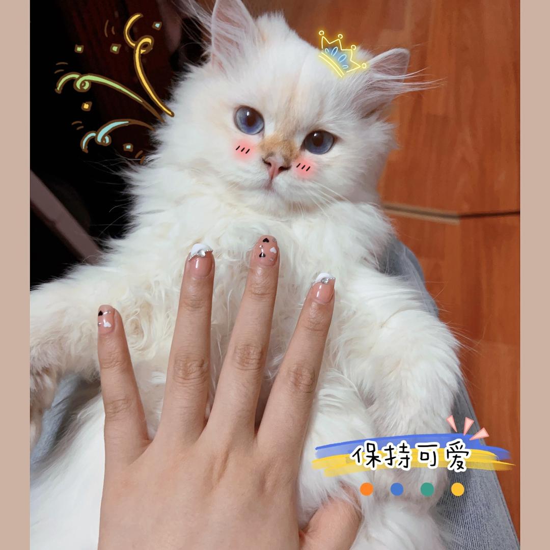 甜七ᰔᩚ