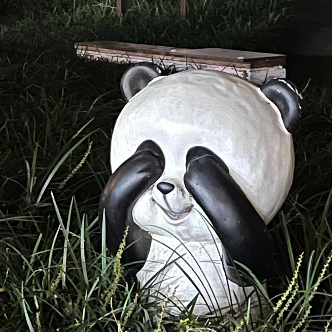 幸而有幸