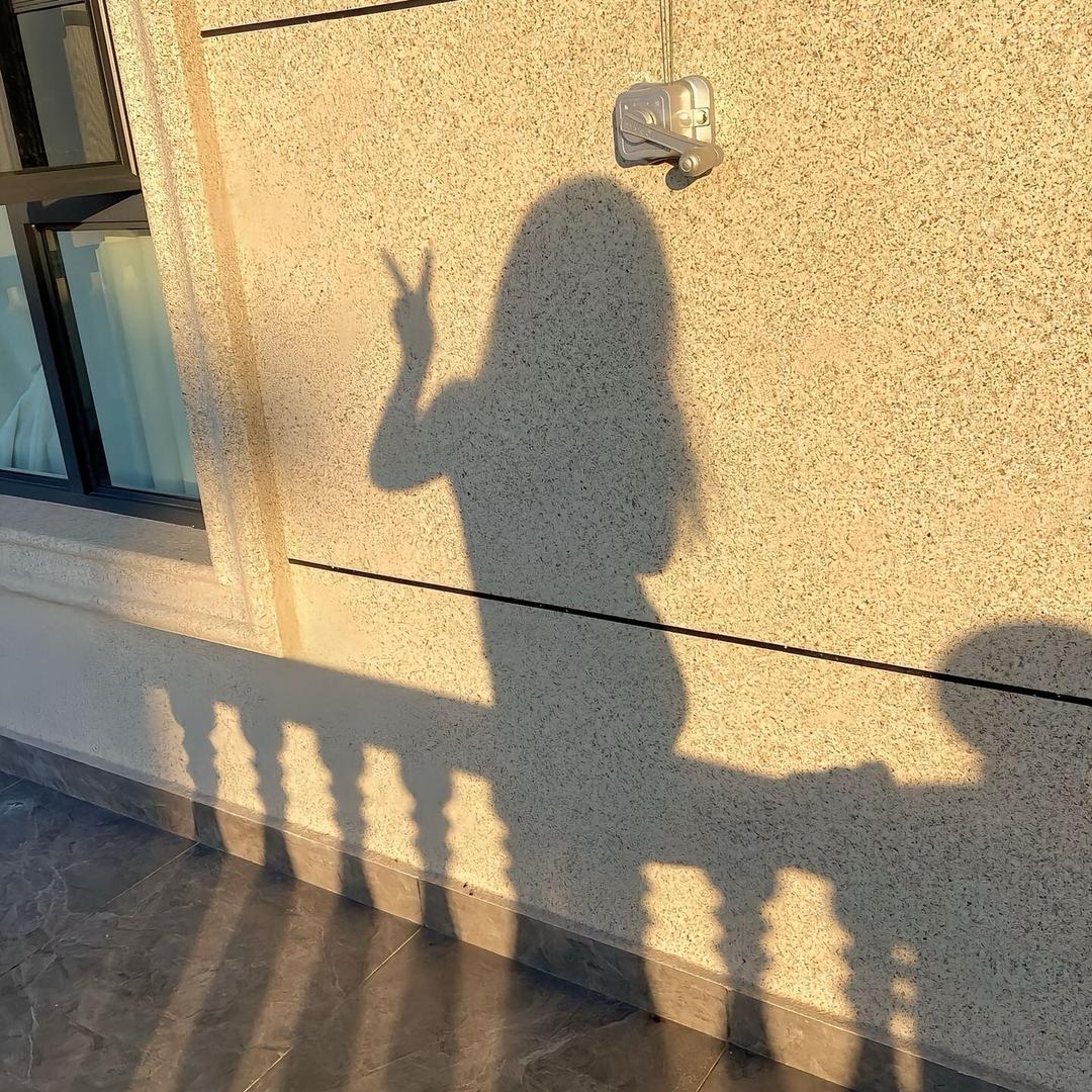 养生小丸子