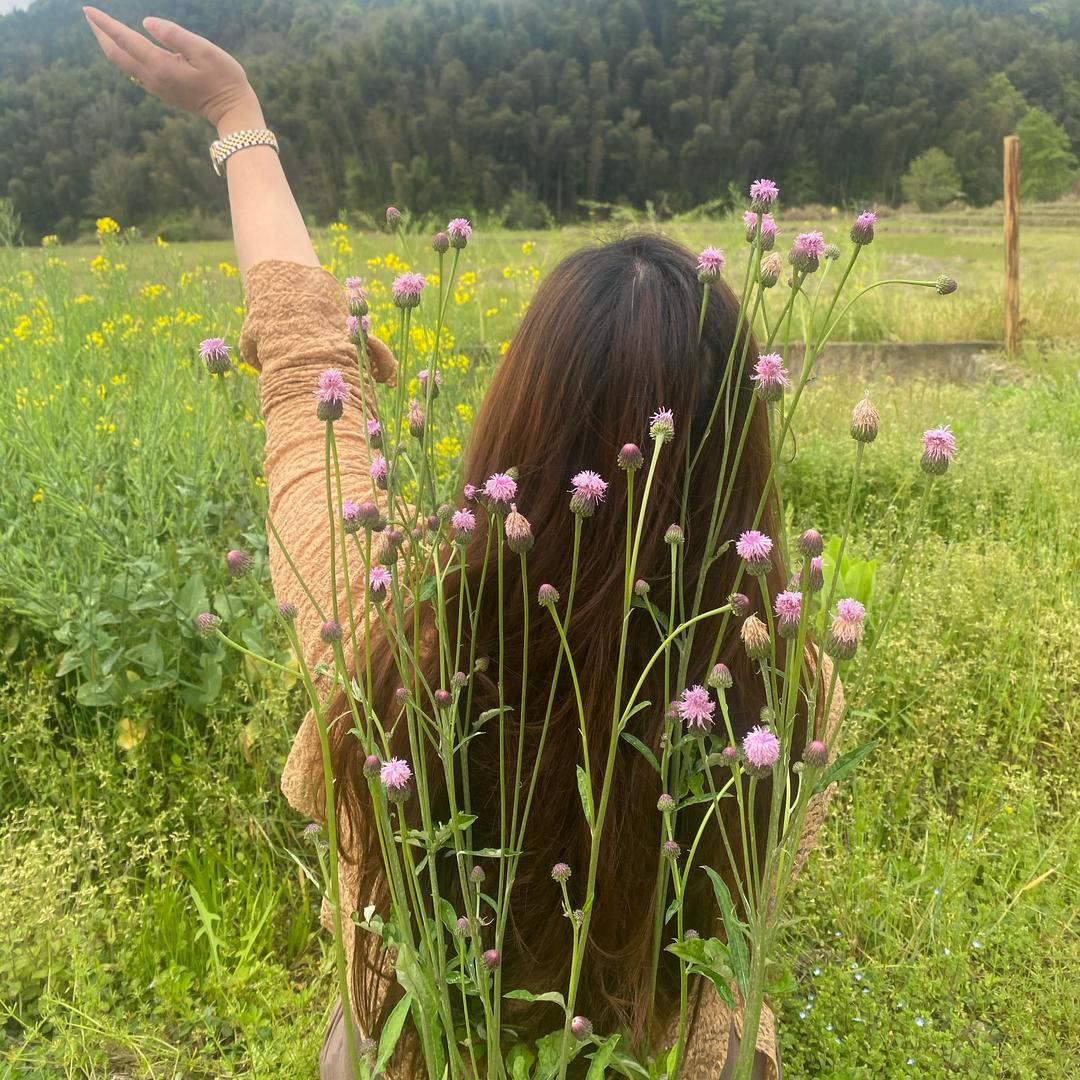 美美