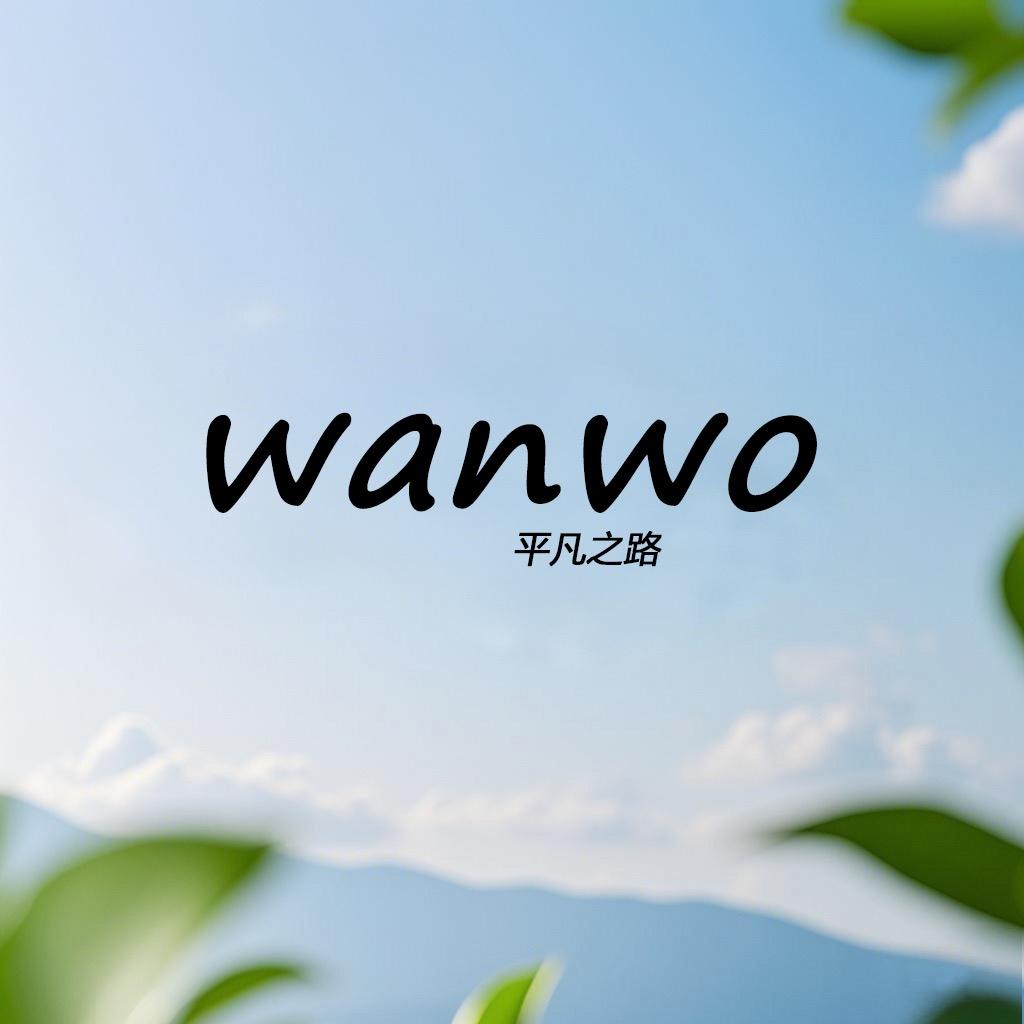 WANWO平凡之路专卖店
