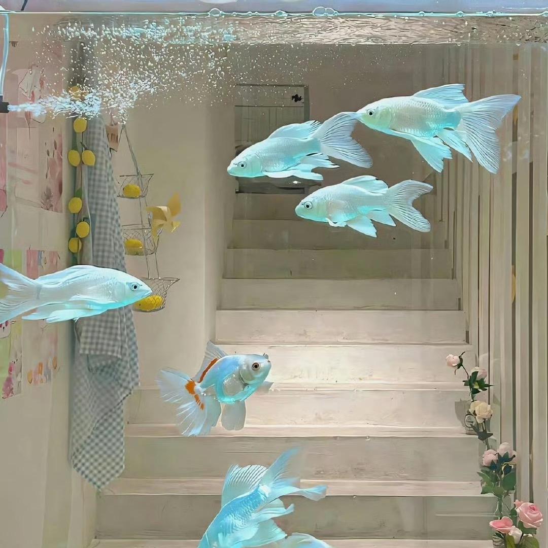 菠萝酱