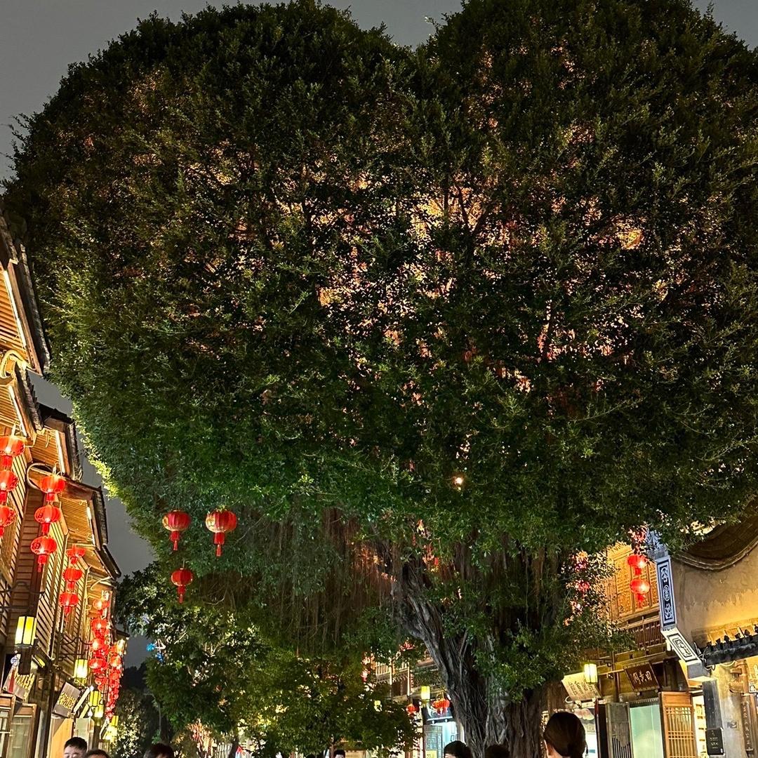 এ᭄💞丫头এ᭄꧔ꦿ₅：