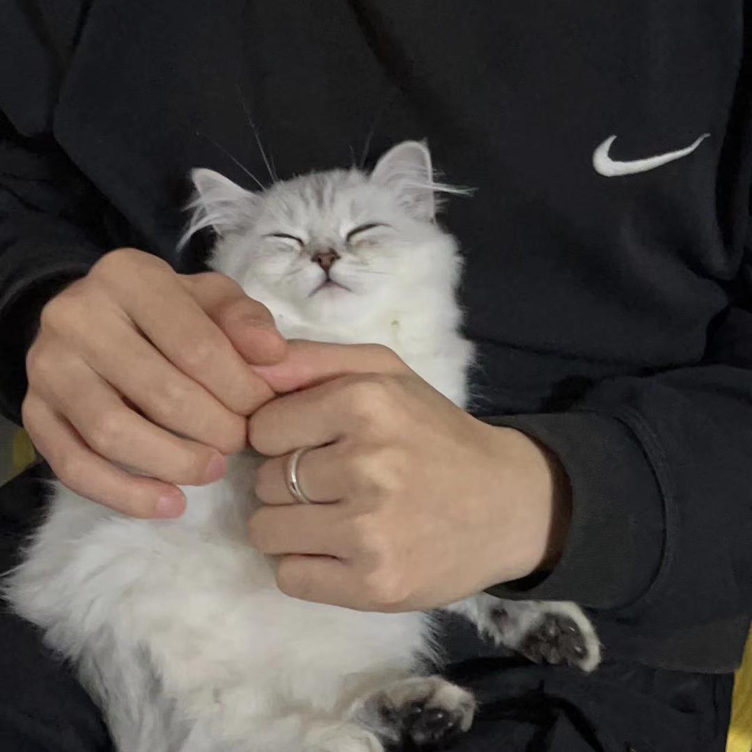 陈词.