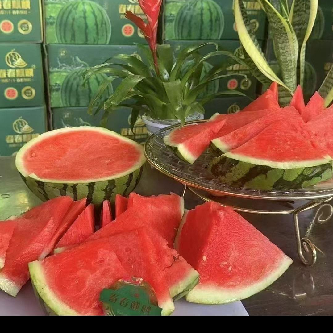 青岛益丰源小孙（春春麒麟，来个蜜）