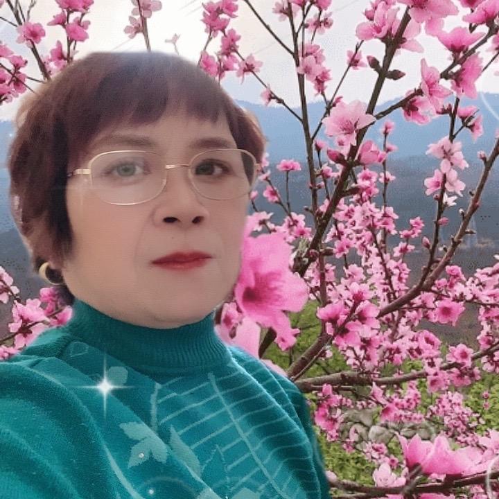 天天开心（牵线交友）