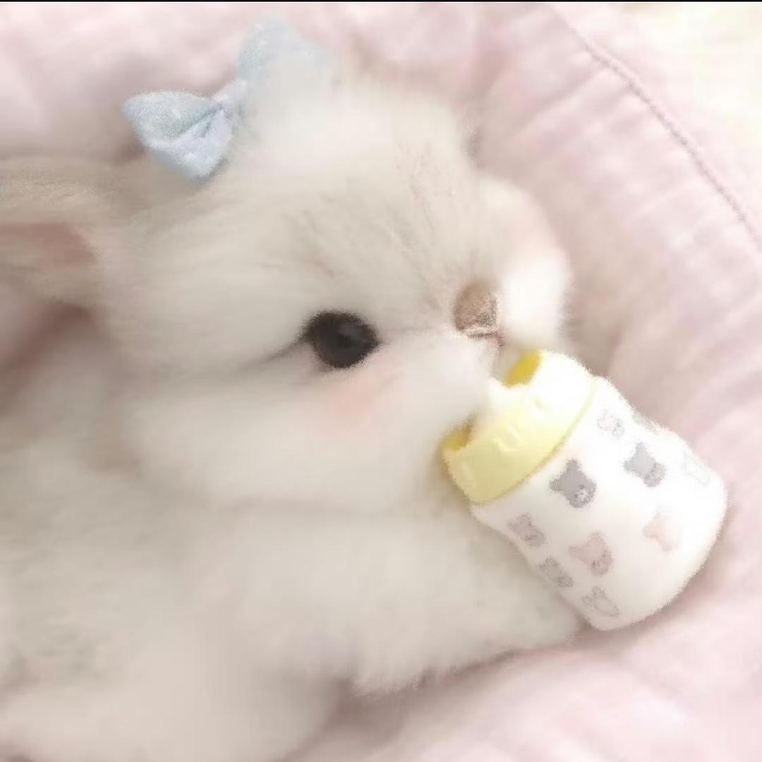 彤彤不爱吃玉米