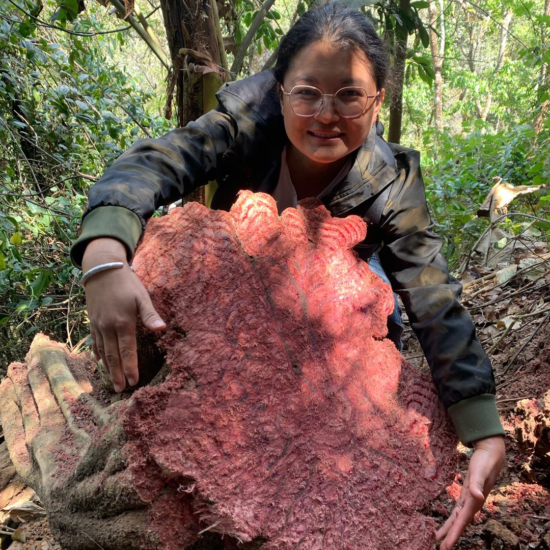 云南土特产源头优选