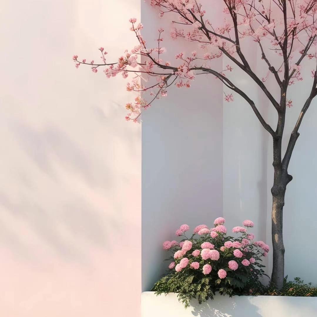 俏江南（团购）