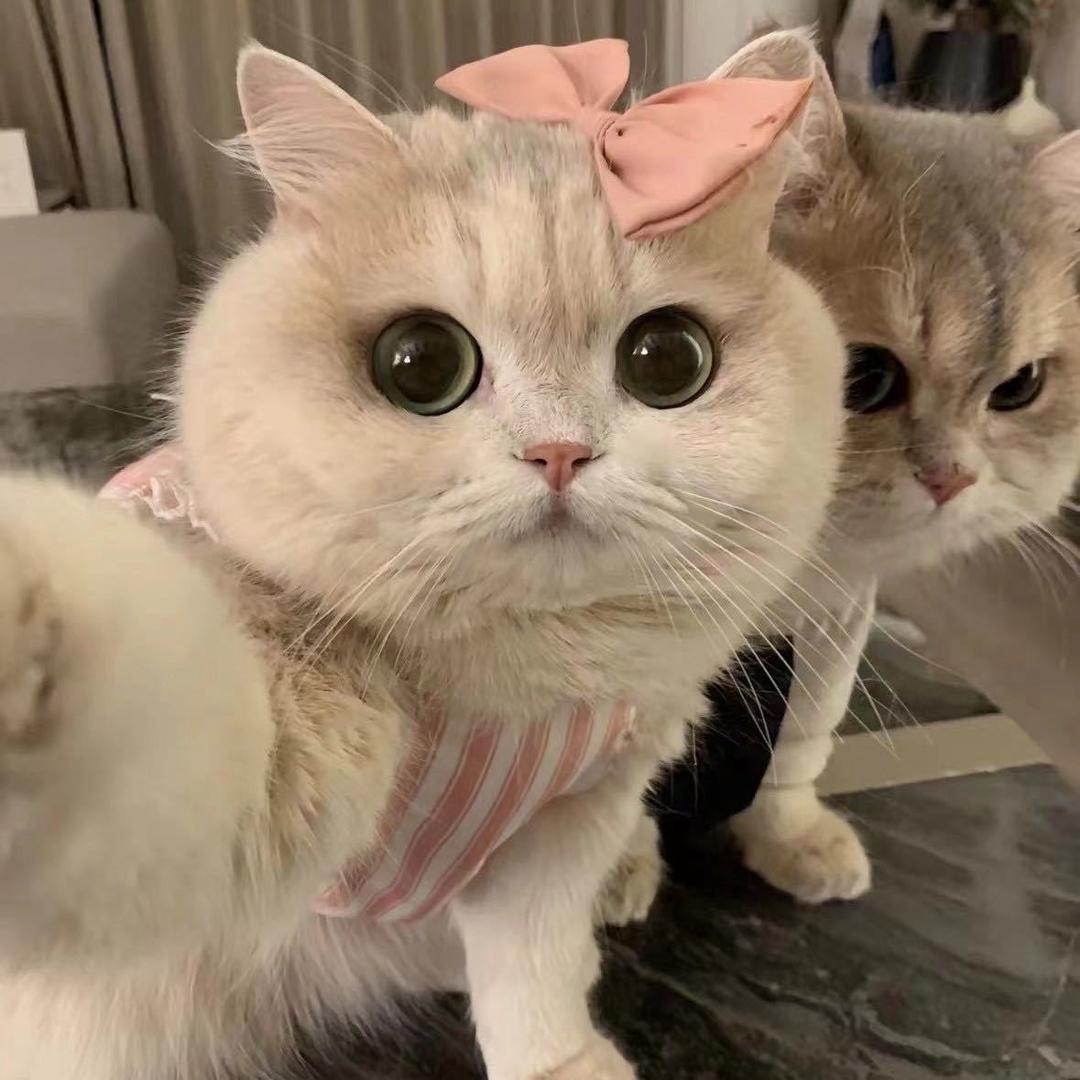 🍓🍓🍓🍓🍓🍓🍓🍓