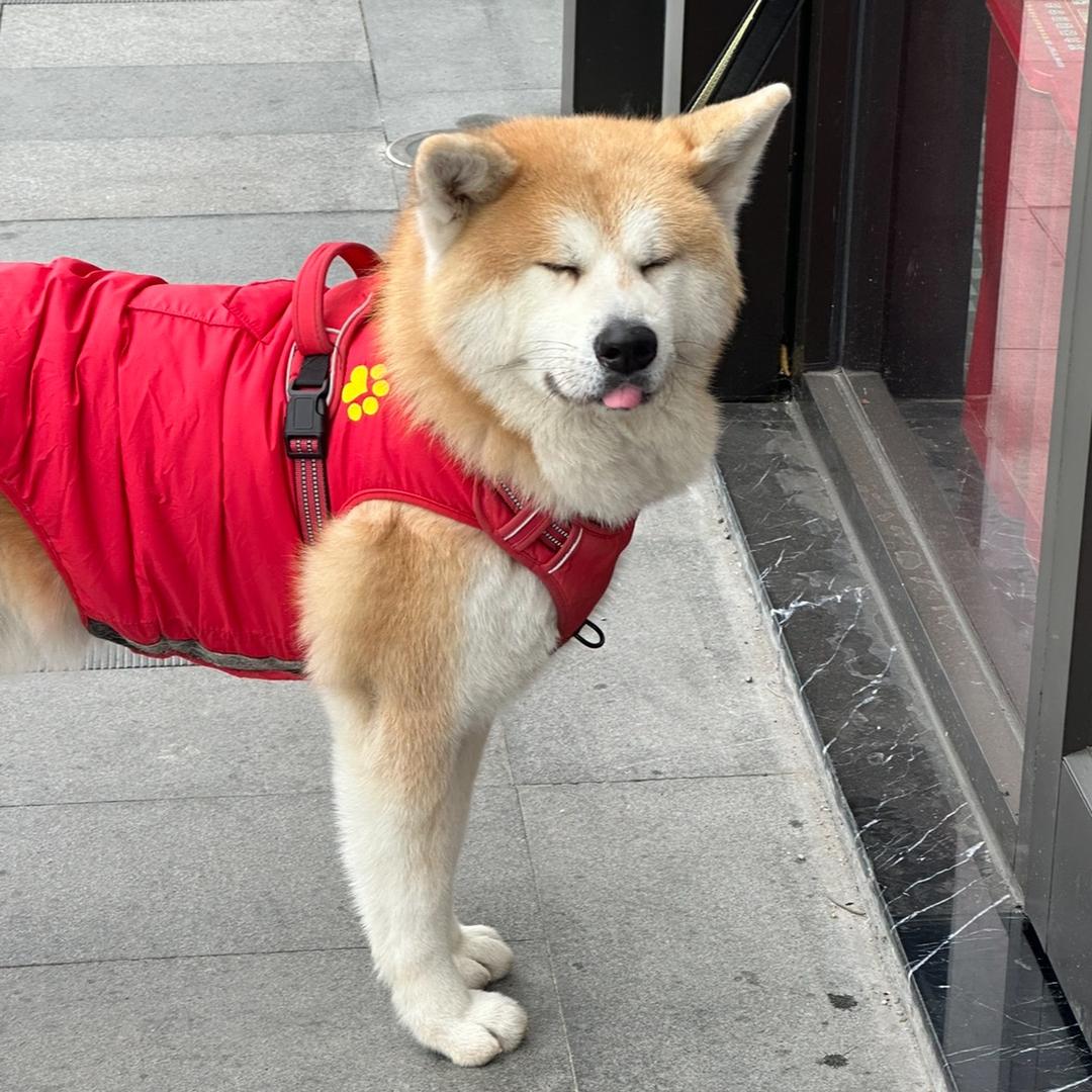 哦