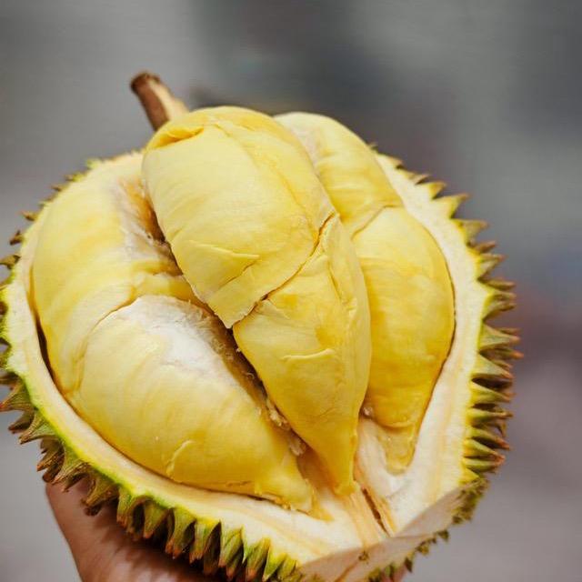 丰榴才子榴莲供应链