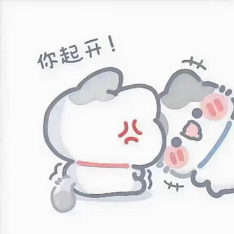 ঞৣ崽崽ღ᭄
