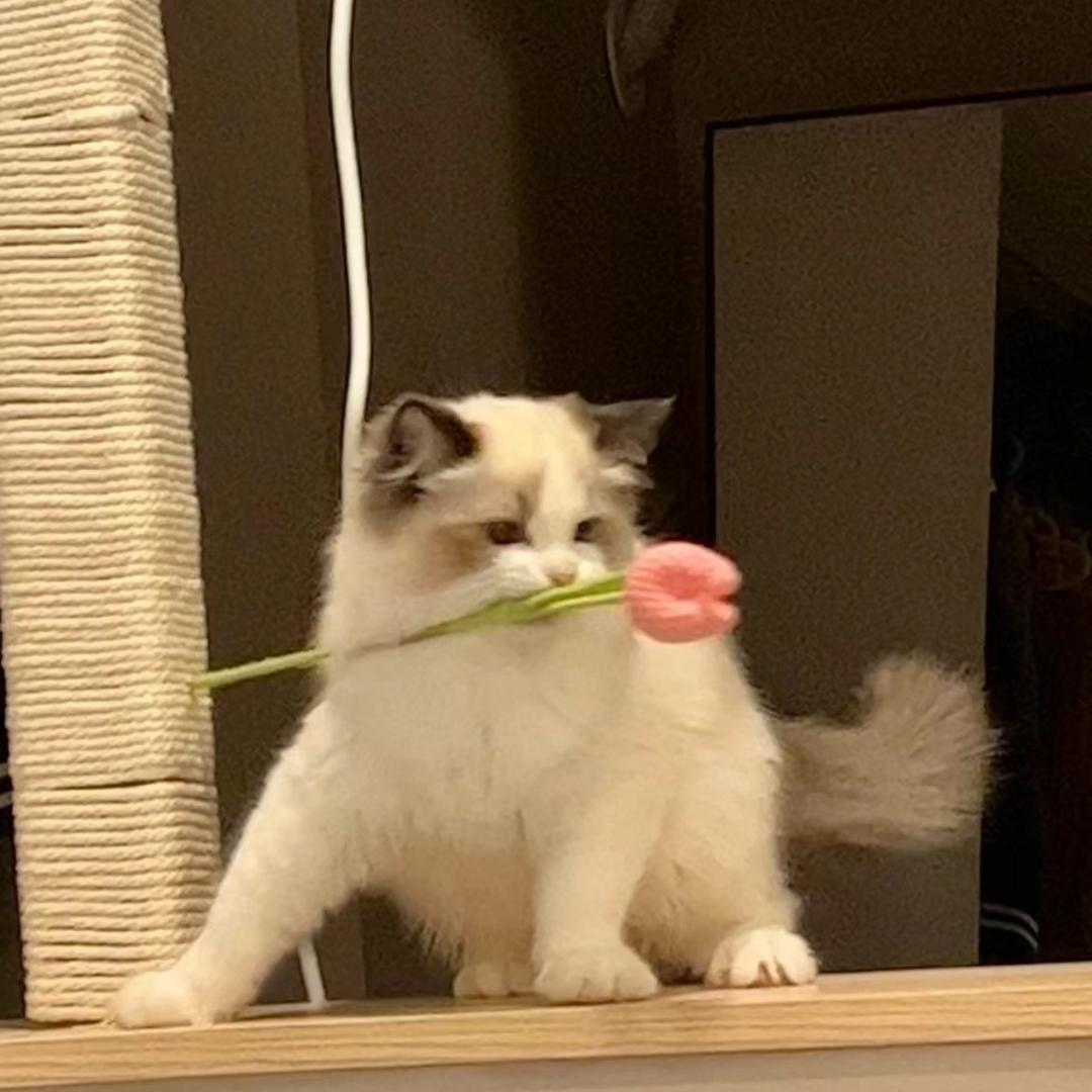 ✨✨✨🌟🌟🌟