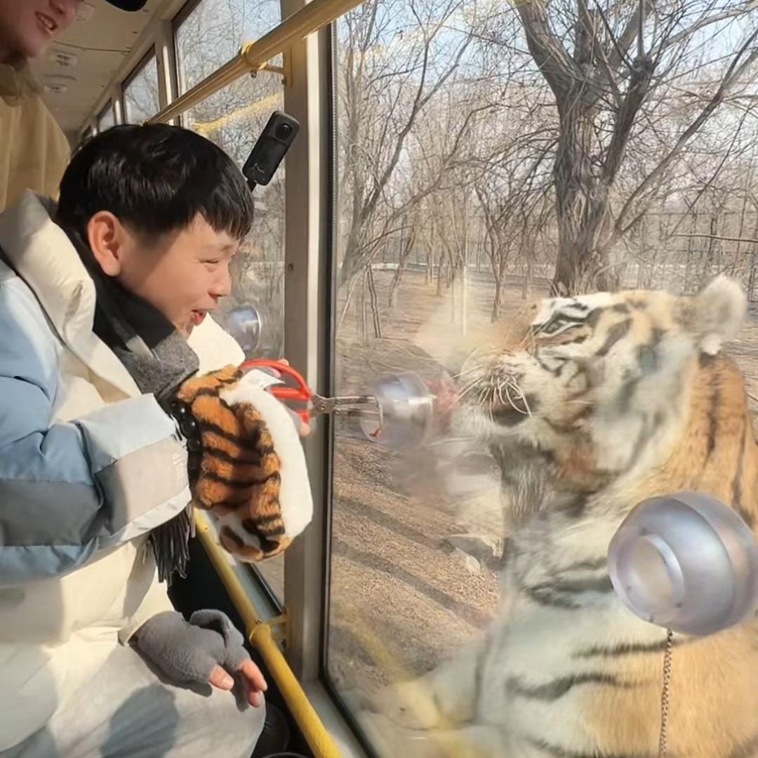 小志很简单