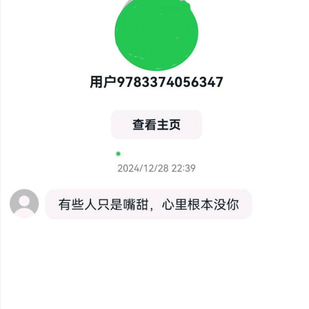 迪迪卫卫
