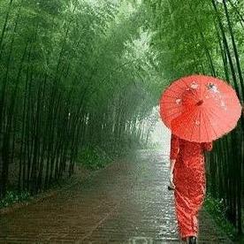 筝声渐醉（不要连赞）