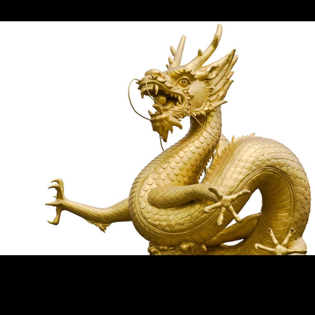 FC富贵龙🐲