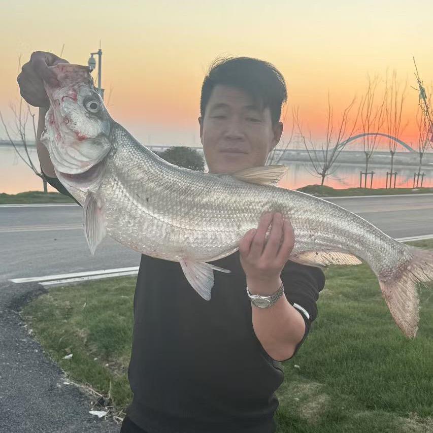 你瞅啥