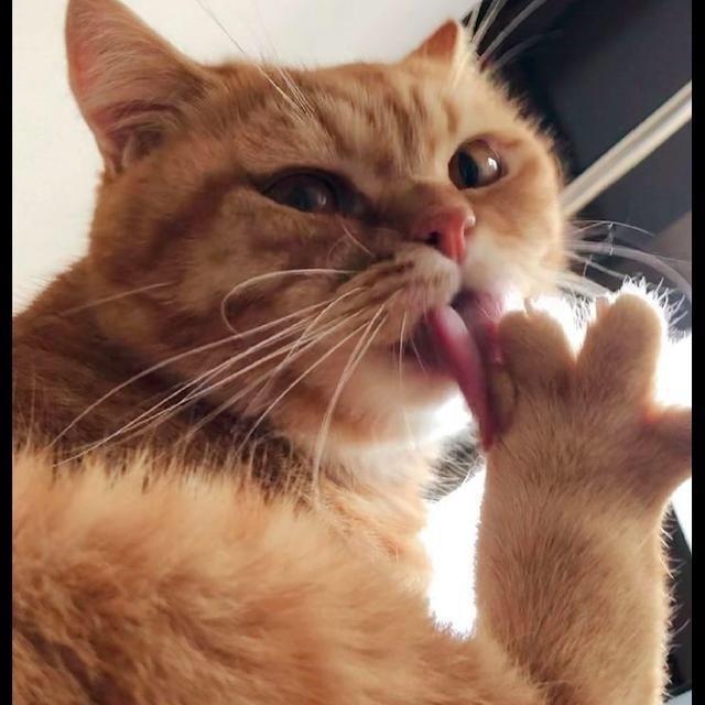 宁夏小满中药材交易平台