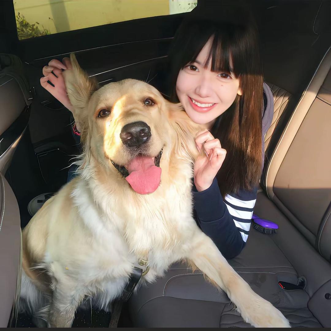 社牛小橙