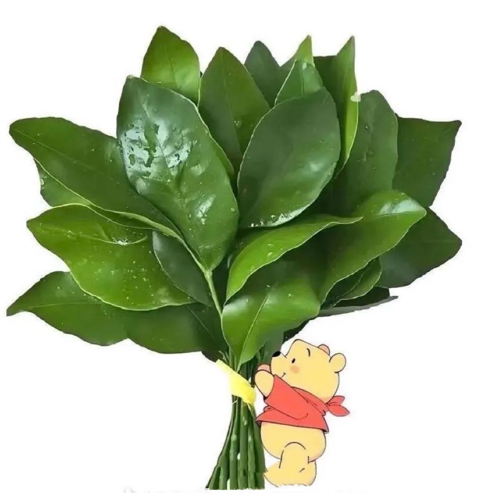 祁祁怪怪🌷