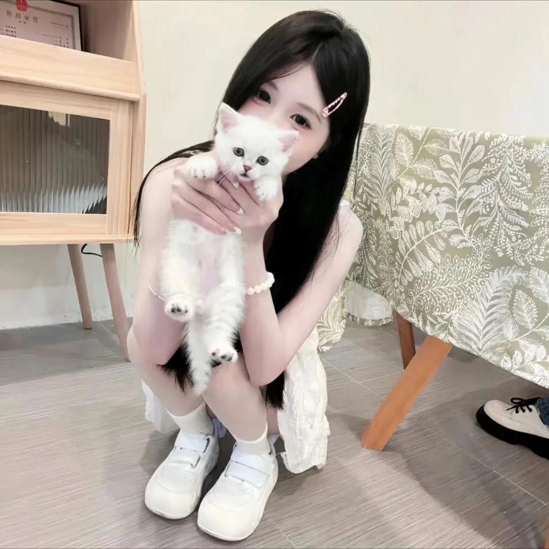 猪猪郡郡