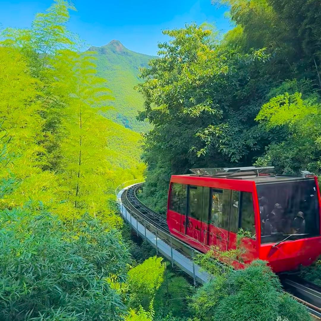 南山竹海