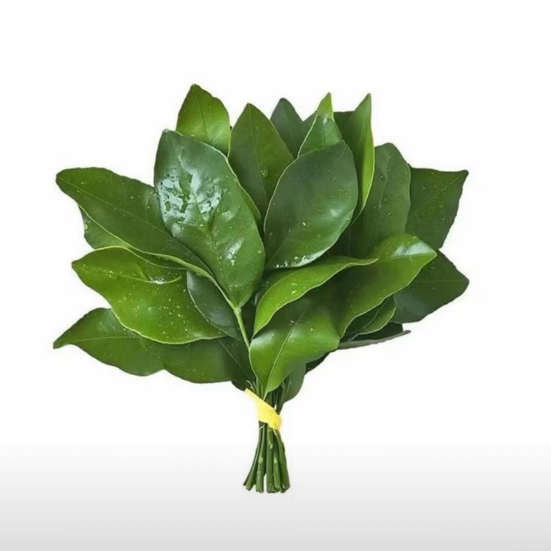 ✨欢欢的好物分享✨